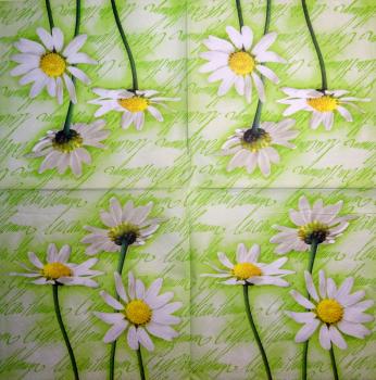 348 Daisies - 3-ply - CS